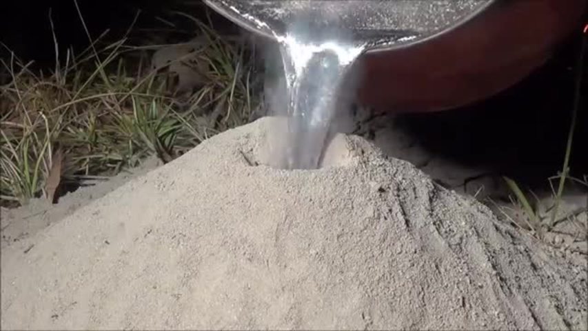 É isto que acontece quando se derrama alumínio líquido sobre um formigueiro. INCRÍVEL